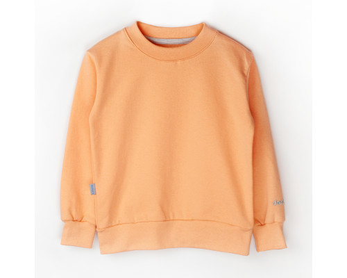 Джемпер детский с вышивкой персиковый Dexter`s