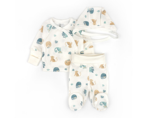 Комплект для немовлят з футера Lemurs