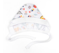 Чепчик для новорожденных с начесом Dino