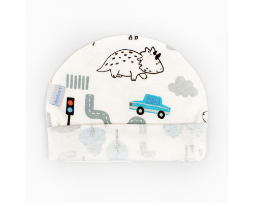 Шапочка інтерлок Dino in town