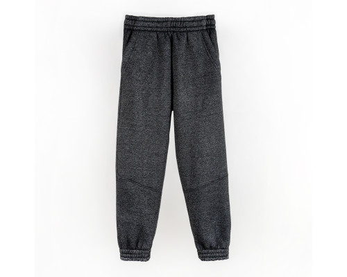 Детские спортивные штаны graphite Dexter`s