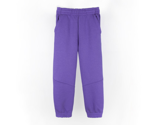 Спортивные штаны тринитка детские violet Dexter`s