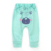 Штаны детские с начесом Berni