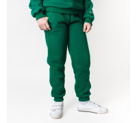 Теплі спортивні штани emerald Dexter`s