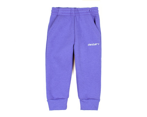 Детские штаны с карманами тринитка violet Dexter`s